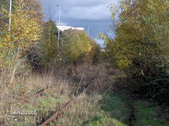 Mendelgief branch dereliction, Newport, December 2005